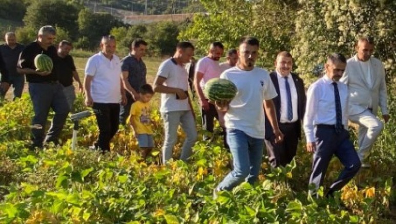 Aktaş, Çayırköyde tarlada sebze meyve hasadında