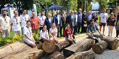 Ahşap Heykel Sempozyumu Değirmendere'de başladı