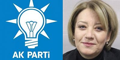 AK Kadın üyeler 156.635 diğer partilerin toplamından fazla