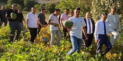 Aktaş, Çayırköyde tarlada sebze meyve hasadında