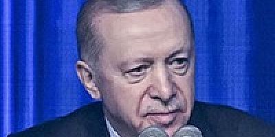 Erdoğanın Siyasi literature Toksik Kayıtdışı demokrasi