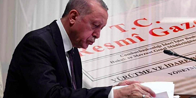 Erdoğan Nüfus Kurulu, Aile Enstitüsü kuruluşunu onayladı