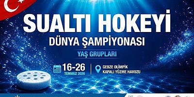 Gebzede Sualtı Hokeyi Dünya Şampiyonası 