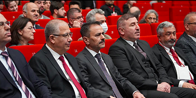 Gençlik Politikası Vizyon Çalıştayına Vali Aktaş'ta katıldı