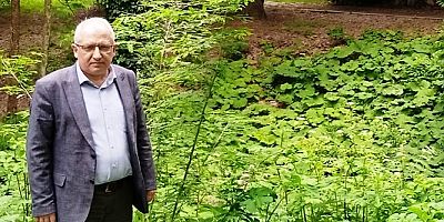 Hocaoğlu Vizyon projeden vazgeçtik Otlar biçin yeter'