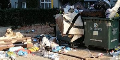 İzmit’i görsel ve çevresel kirliliğe teslim ettiler