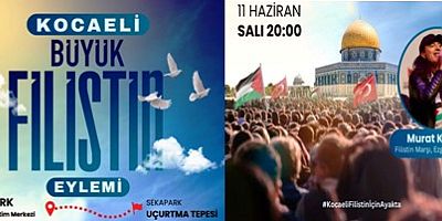 Kocaeli Büyük Filistin Eylemi Salı 20.00 Sekapark Uçurtma Tepesinde