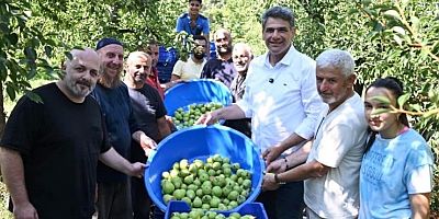 Kocaman Armut hasadında Şenliğe davet etti