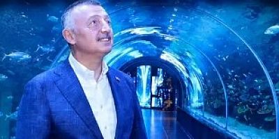 Körfez Aqua Akvaryumu  Açılış Cumartesi 10.00