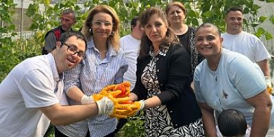 Nüzhetiye Engelsiz Yaşam Merkezinde hasat zamanı
